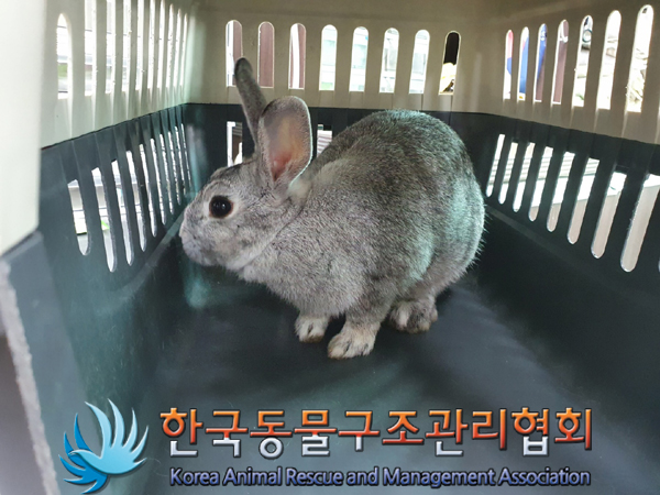 한국동물구조관리협회_411307202300174